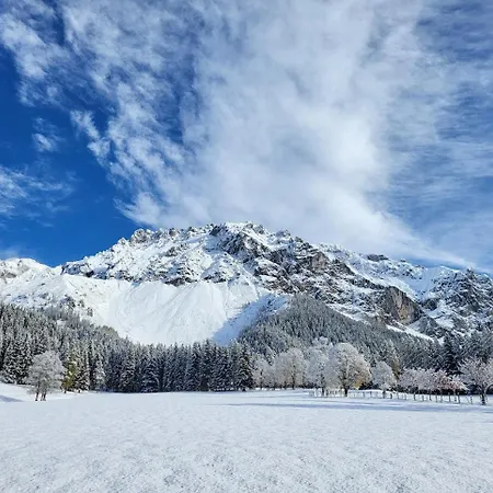 Schuetterhof *