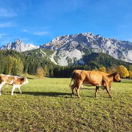 Schuetterhof Ramsau am Dachstein